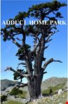 145240407240449_ADDUCI HOME PARK - Copia.jpg